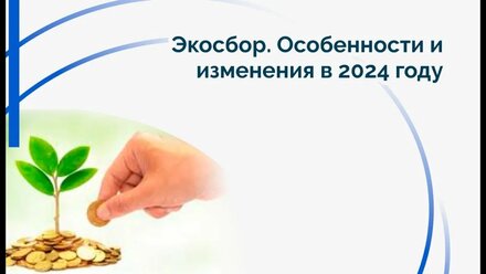 Экосбор. Особенности и изменения в 2024 году.