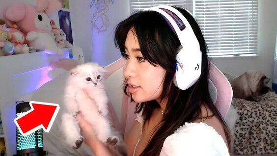 Tiffanobi Shows Off Her New Cat