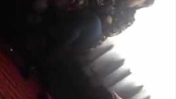 Oxirgimiz jinsiy aloqa multfilmidan Elli