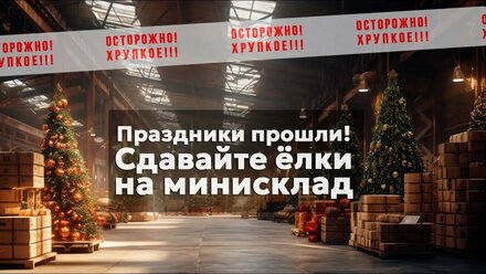 Храните новогодние украшения и другие вещи на Минискладе!