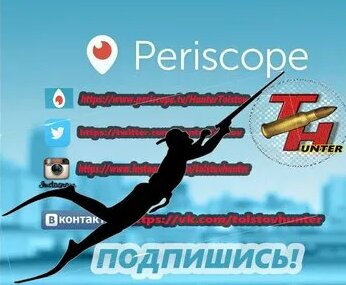 Yandex video arama