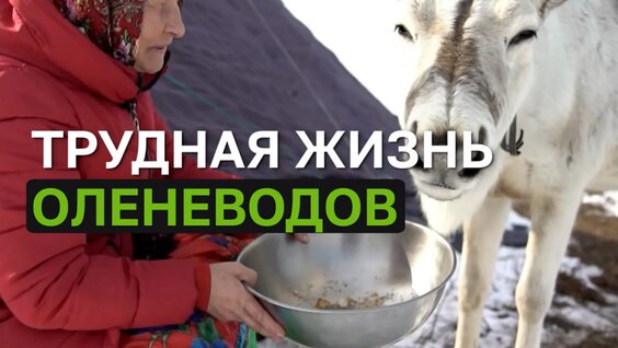 Как живут в тундре жёны оленеводов — aRTel.doc — Видео от RT.Док: Время наших героев
