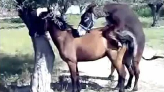 Tyumendagi intim reklamalar