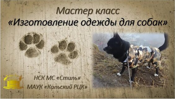 Мастер-класс по изготовлению одежды для собак — Видео от Кольский Центр культуры