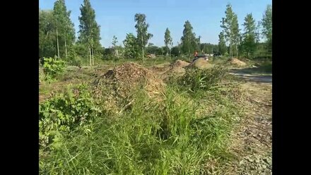Расчистка 1 гектара