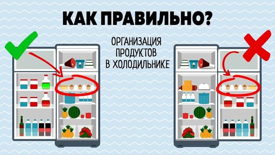 Как ПРАВИЛЬНО Хранить ПРОДУКТЫ в ХОЛОДИЛЬНИКЕ! Что в МОЕМ Холодильнике — Видео от Поколение Железа