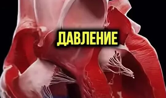 Видео от Здоровье Семьи — Видео от Здоровье Семьи
