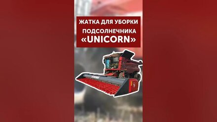 Уборка подсолнечника с жаткой Unicorn #уборкаподсолнечника#агротехнологии#жатка