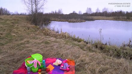 Купить земельный участок в Некрасовском районе