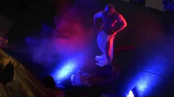 Соратын спермы