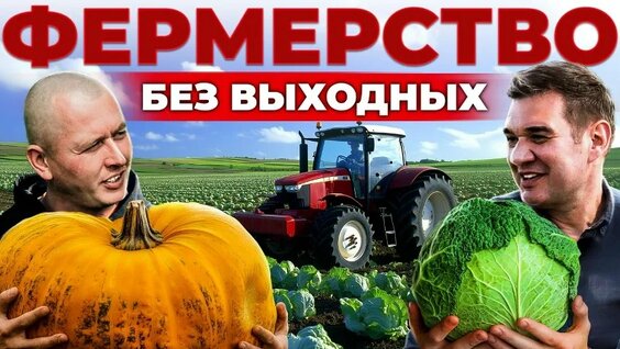 Как заработать на капусте и тыкве? Овощеводство как бизнес в Нижегородской области — Видео от С…