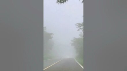 🌫 Through the fog by car / пробираясь через туман #shortvideo #shorts #short #fog #туман #car #авто
