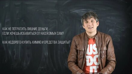 Как потравить насекомых самому и не потратить на это лишние деньги?