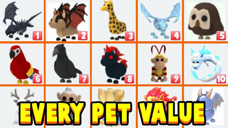 All Pets VALUE List In Adopt Me 2022! The values of ALL pets in roblox ...