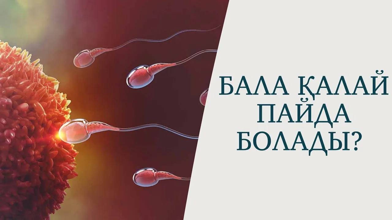 Пениске қалай жетуге болады видео