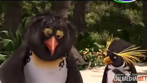 Braziliyalik blowjob