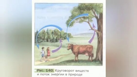 Мен анамды жыныстық қатынасқа түскен кезде аңдыдым.