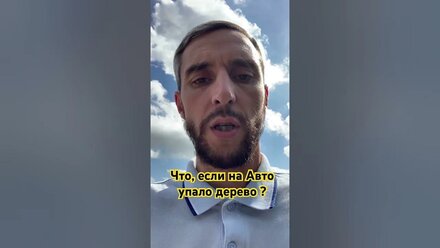 Что, если на Авто упало дерево ? #авто #авария #машина