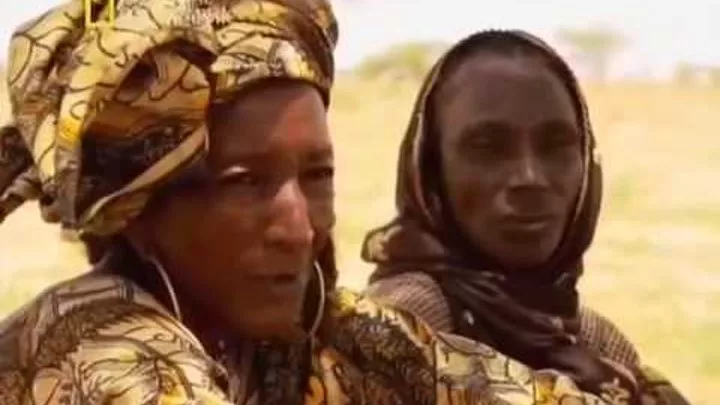 Ең керемет есектер