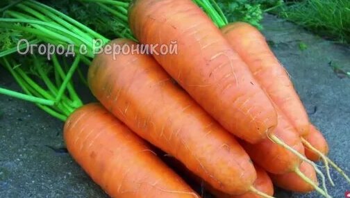 Құрылыс алаңдарында секс