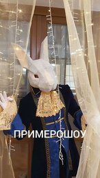 Символ 2023 года -кролик уже шагает по стране. Спешите заказать аниматора в костюме кролика