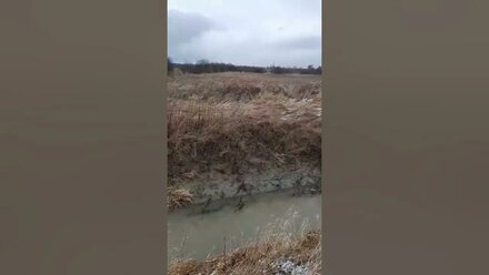 Продажа участки в пос. Ласкино Калининградская область
