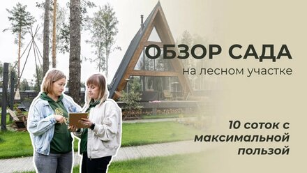 ОБЗОР САДА | 10 соток с максимальной пользой