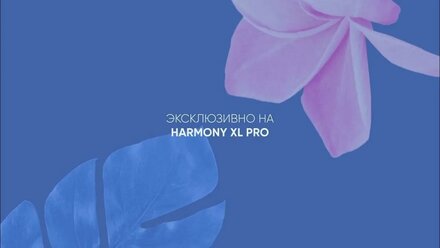 NO FILTERS HARMONY XL LASERPLANET