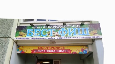 - аквариумистика БЕСТ ФИШ