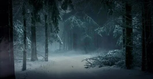 #Футаж ночной зимний лес 4K•HD #Footage winter forest at night ...