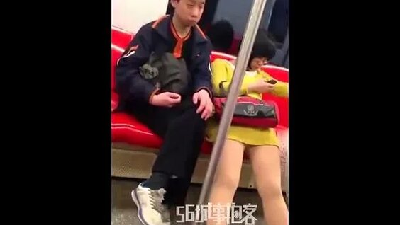 Subway Legs: 842 video Yandex'te bulundu