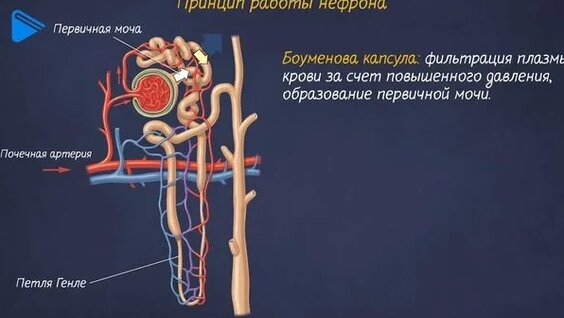 Қыздар порно 640 960