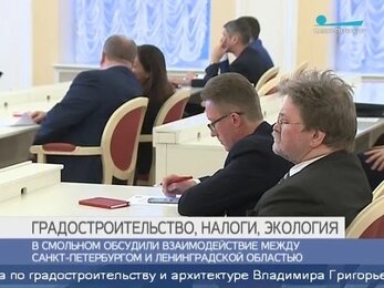 Население Петербурга растет