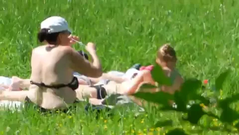 Көзілдіріктің порнографиясы