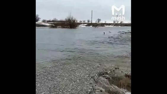 Один из самых многоводных паводков за всю историю наблюдений случился в Приволжском Федеральном …