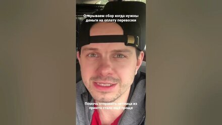 Сбор средств для отправки животных из приютов