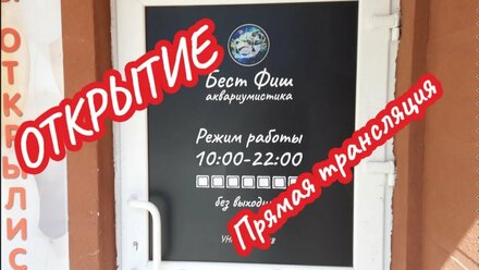 Открытие магазина - аквариумистика БЕСТ ФИШ