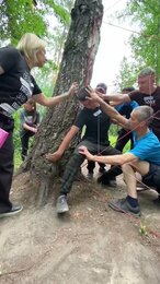 Веревочный курс в лесу