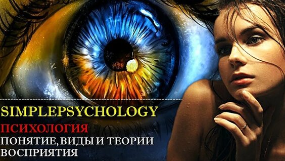 Психология. Понятие, виды и теории восприятия. — Видео от Павел Авдеев