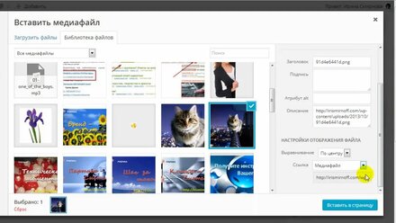 Опция страницы - продолжаем изучать WordPress