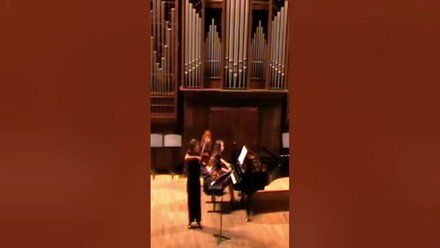 Robert Schumann//Sonata 2(1mwm) #music #culture #violin
