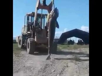 Это бомба! Вот таких рыбок ловят на Кубани