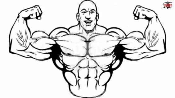 HOW TO DRAW MUSCLES IN 10 MINUTES