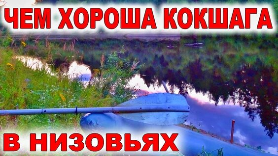Сплав на байдарке по реке Большая Кокшага. Водный поход в низовьях до моста у Кокшамар — Ви...