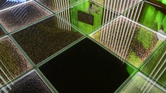 1 Выпуск Программы Green Tech На Тему «Что Такое Зеленые Технологии».mp4 — Видео от Богиняко…