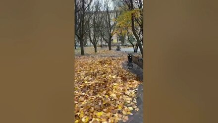 Стоял Ноябрь уж у двора!!!