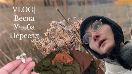 Влог | жизнь в эмиграции/разбор вещей/учеба/весна