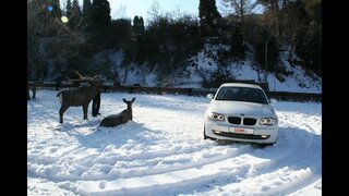 BMW 1 series (БМВ 1 серия)