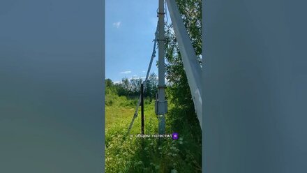 Дневник день 5