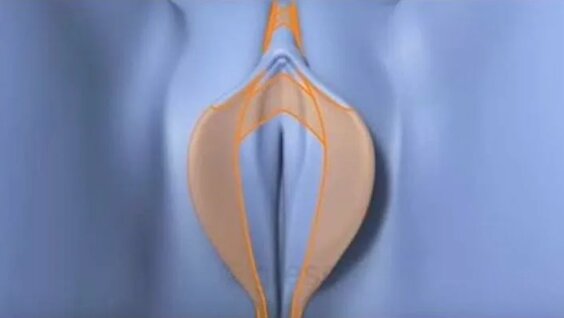 Onam chuqur porno video